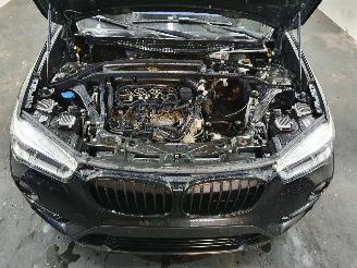 BMW X1 F48 XDrive 20d picture 18