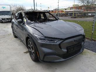 Ford Mustang Mach-e 98kWh 338pk AWD picture 1