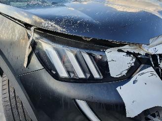 Peugeot 2008 P24E GT 1.2P Aut. picture 35