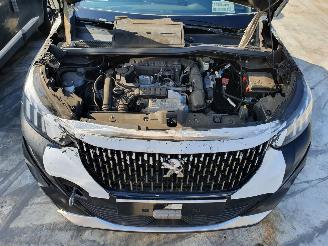 Peugeot 2008 P24E GT 1.2P Aut. picture 13