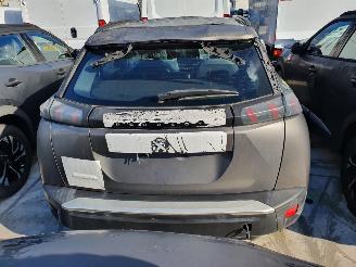 Peugeot 2008 P24E 1.2P Aut. picture 5