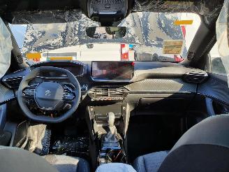 Peugeot 2008 P24E 1.2P Aut. picture 23