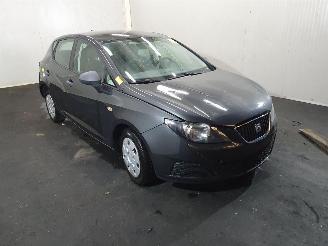 Seat Ibiza 6J5 Entry IB picture 1