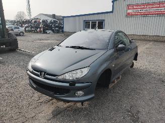 Autoverwertung Peugeot 206 CC Grijs EZW Onderdelen 2005/7