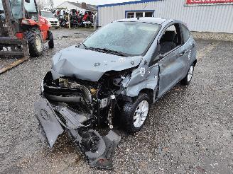 disassembly passenger cars Ford Ka 1.2 Lago-Grijs Onderdelen 169A4000 Motor 2014/4