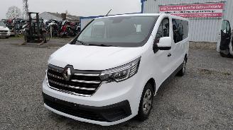 disassembly passenger cars Renault Trafic 2.0 2024/6