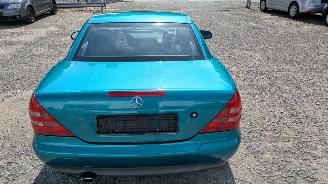 Mercedes SLK 230 Kompressor picture 21