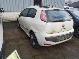 Fiat Punto Punto Evo (199), Hatchback, 2008 / 2012 1.3 JTD Multijet 85 16V Euro 5 picture 3