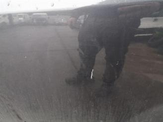 Fiat Grande Punto Grande Punto (199), Hatchback, 2005 1.4 picture 16