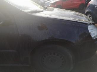 Volkswagen Golf Golf V (1K1), Hatchback, 2003 / 2010 1.4 16V picture 34