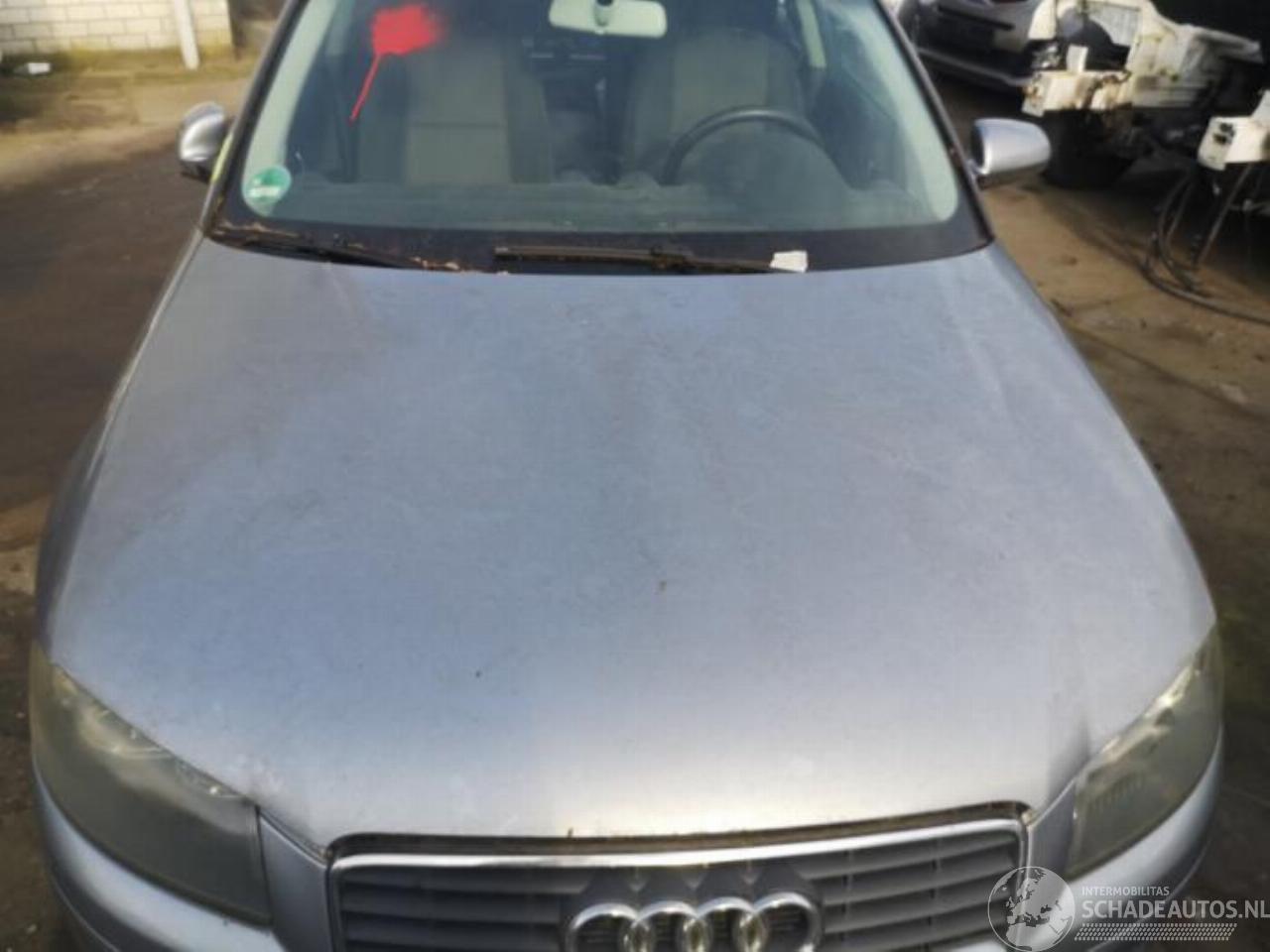 Audi A3 A3 (8P1), Hatchback 3-drs, 2003 / 2012 1.9 TDI