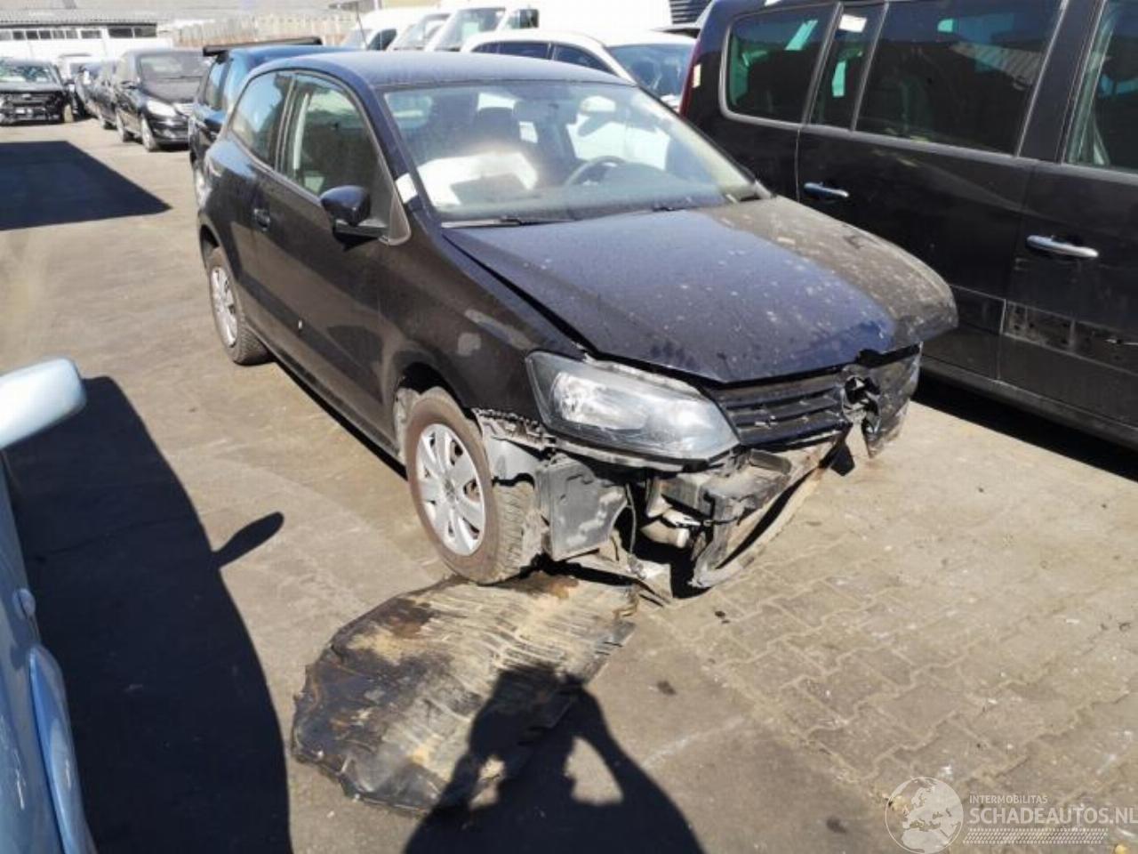 Volkswagen Polo Polo V (6R), Hatchback, 2009 / 2017 1.6 TDI 16V 90