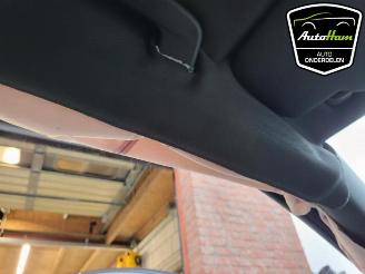 Volkswagen Golf Golf VIII (CD1), Hatchback, 2019 1.5 TSI BlueMotion 16V picture 12