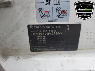 Skoda Fabia Fabia IV (PJ3), Hatchback 5-drs, 2021 1.0 TSI 12V picture 13