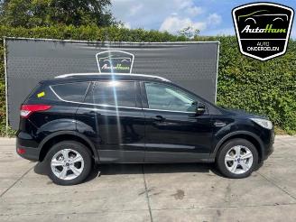 Ford Kuga Kuga II (DM2), SUV, 2012 1.6 EcoBoost 16V picture 1