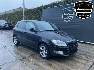 Skoda Fabia Fabia II (5J), Hatchback 5-drs, 2006 / 2014 1.2 TSI picture 2