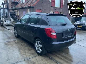 Skoda Fabia Fabia II (5J), Hatchback 5-drs, 2006 / 2014 1.2 TSI picture 6