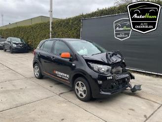 Kia Picanto Picanto (JA), Hatchback, 2017 1.0 DPi 12V picture 2