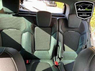 Renault Scenic Scenic IV (RFAJ), MPV, 2016 / 2022 1.2 TCE 115 16V picture 22