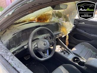 Volkswagen Golf Golf VIII (CD1), Hatchback, 2019 2.0 TSI R 16V 4Motion picture 7