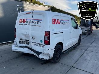 Opel Combo Combo Cargo, Van, 2018 1.5 CDTI 130 picture 10