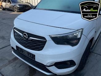 Opel Combo Combo Cargo, Van, 2018 1.5 CDTI 130 picture 5