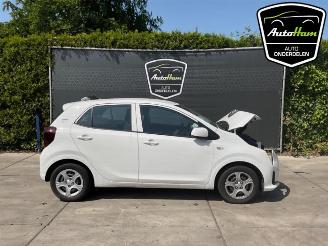 skadebil auto Kia Picanto Picanto (JA), Hatchback, 2017 1.0 DPI 12V 2024/10