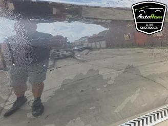 BMW X5 X5 (F15), SUV, 2013 / 2018 xDrive 35d 3.0 24V picture 14