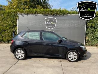 Skoda Fabia Fabia III (NJ3), Hatchback 5-drs, 2014 / 2021 1.0 TSI 12V picture 1