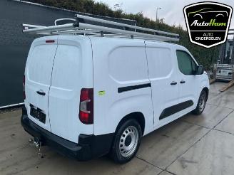 Opel Combo Combo Cargo, Van, 2018 1.5 CDTI 130 picture 12