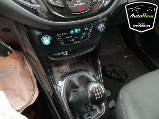 Ford B-Max B-Max (JK8), MPV, 2012 / 2017 1.0 EcoBoost 12V 100 picture 20