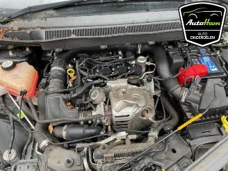 Ford B-Max B-Max (JK8), MPV, 2012 / 2017 1.0 EcoBoost 12V 100 picture 13