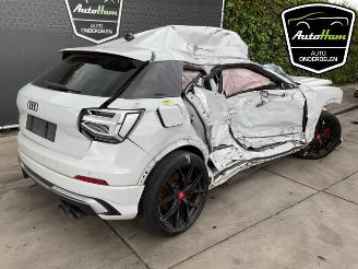 Audi Q2 SQ2 (GAB/GAG), SUV, 2018 2.0 TFSI 16V picture 10