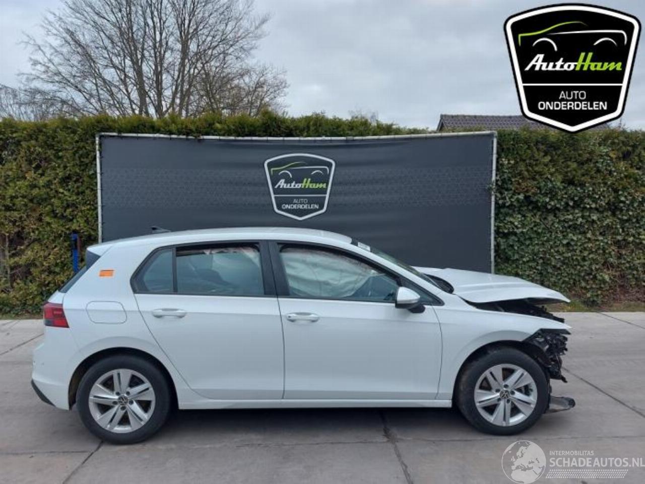 Volkswagen Golf Golf VIII (CD1), Hatchback, 2019 1.5 TSI BlueMotion 16V