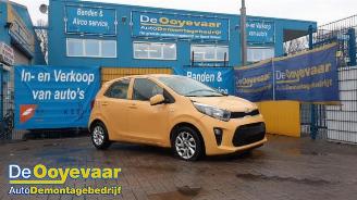 Kia Picanto Picanto (JA), Hatchback, 2017 1.0 12V picture 1