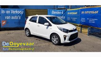 Kia Picanto Picanto (JA), Hatchback, 2017 1.0 12V picture 1