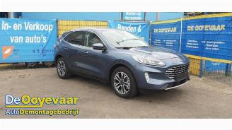 Ford Kuga Kuga III (DFK), SUV, 2019 2.5 PHEV 16V picture 1