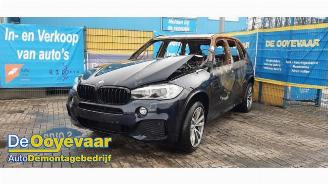 BMW X5 X5 (F15), SUV, 2013 / 2018 xDrive 40d 3.0 24V picture 2