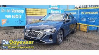 Audi Q8 Q8 E-tron (GEG), SUV, 2022 / 2025 50 Quattro 95 kWh picture 3