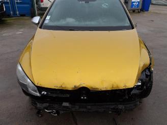 Volkswagen Golf R-TYPE picture 11