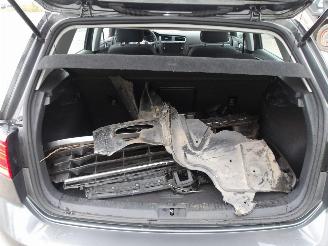 Volkswagen Golf  picture 30