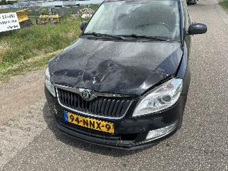 Skoda Fabia 1.2 TDI Greenline airco picture 31
