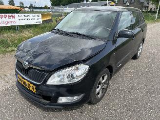 Skoda Fabia 1.2 TDI Greenline airco picture 30