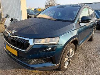Vrakbiler auto Skoda Karoq 1.5 AUTOMAAT TSI ACT Business Edition Plus 2024/1