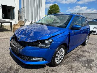 skadebil auto Skoda Fabia 1.0 TSI Ambition 2021/1