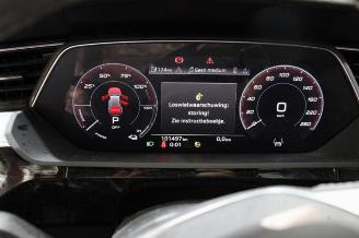 Audi E-tron e-tron (GEN), SUV, 2018 / 2023 55 quattro picture 15