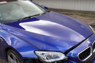 BMW M6 M6 (F13), Coupe, 2012 / 2017 4.4 V8 32V TwinPower Turbo picture 31