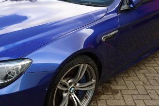 BMW M6 M6 (F13), Coupe, 2012 / 2017 4.4 V8 32V TwinPower Turbo picture 34