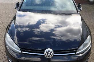 Volkswagen Golf Golf VII (AUA), Hatchback, 2012 / 2021 1.6 TDI 16V picture 20