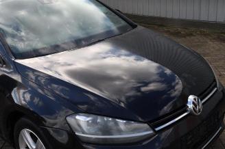 Volkswagen Golf Golf VII (AUA), Hatchback, 2012 / 2021 1.6 TDI 16V picture 22